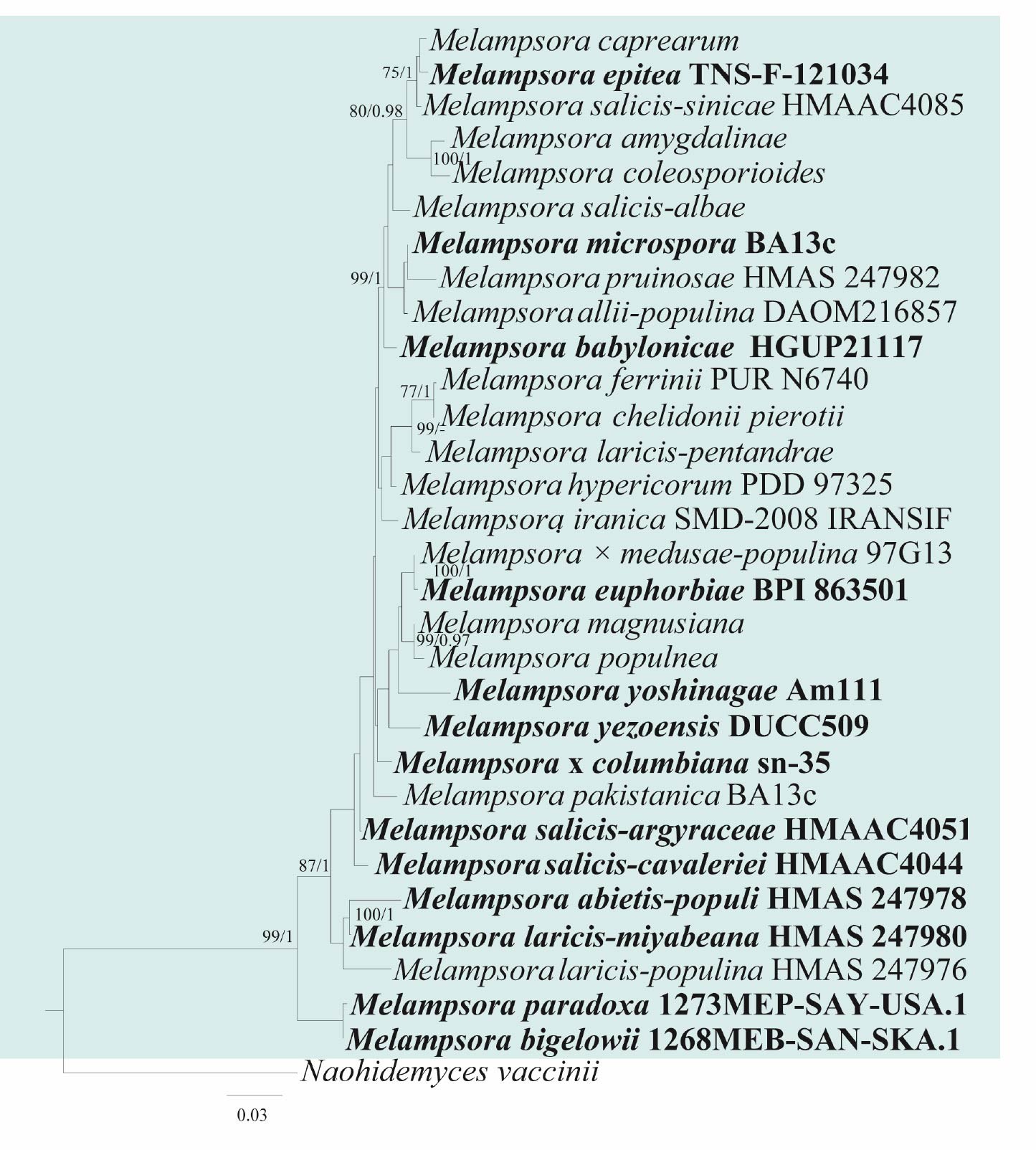 Figure 13